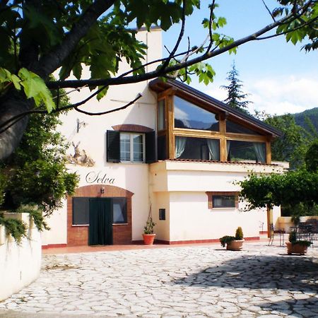 Agriturismo La Selva Риети Экстерьер фото